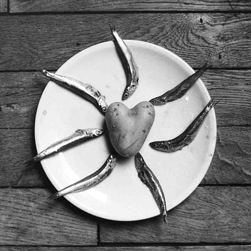 Black and white still life photograph by Jans Bock-Schroeder featuring a heart-shaped potato centered on a white plate, surrounded by six small sardines arranged in a starburst pattern, set on a rustic wooden surface.